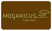 Mogáricus Cogumelos